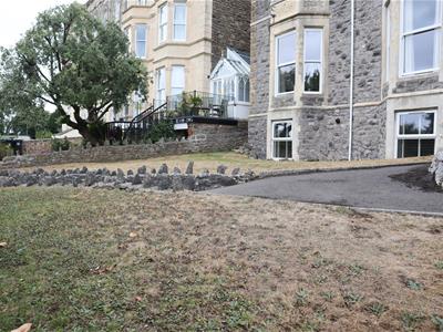 Picture 8